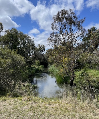Creek picture